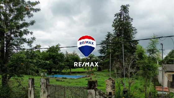 Terreno En Venta El Encon 2 Hectareas