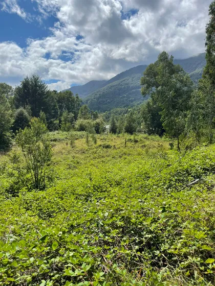 Pucon Venta Parcela 5000 M2 A 15km Del Centro Trufulco