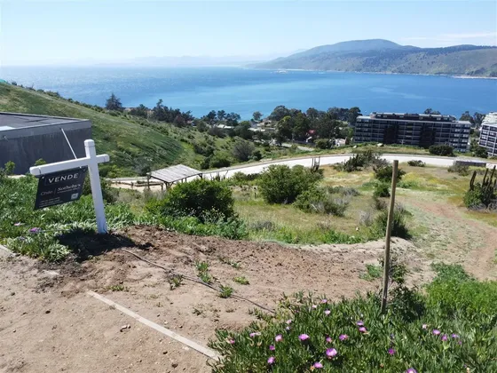 Sitio En Venta En Papudo
