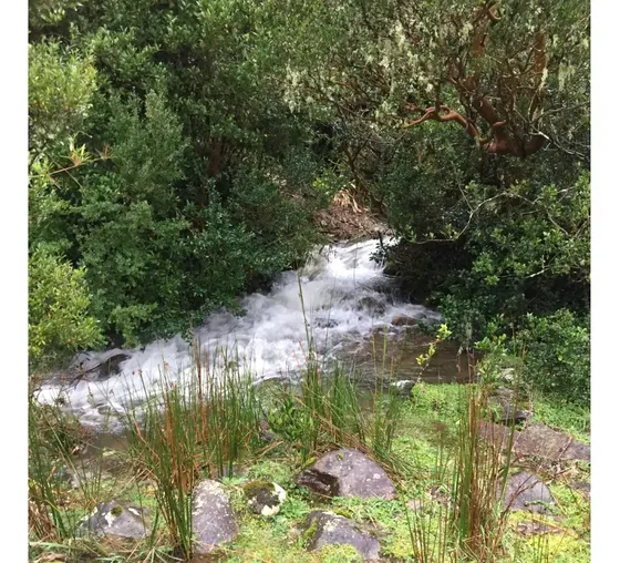 Terreno A 500 Metros De La Playa De Pilocura. Maravilloso