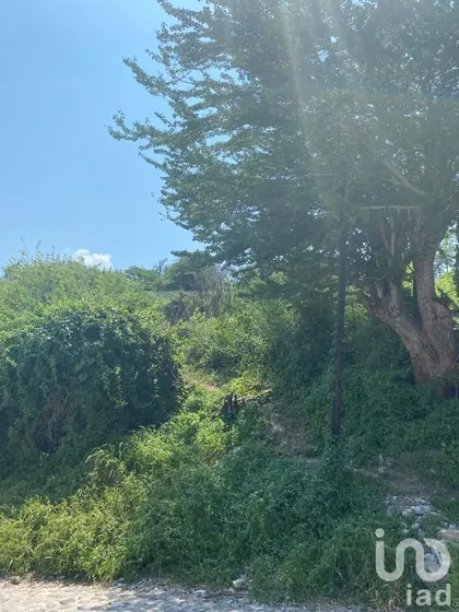 Venta Terreno 0 Ambiente Tequesquitengo