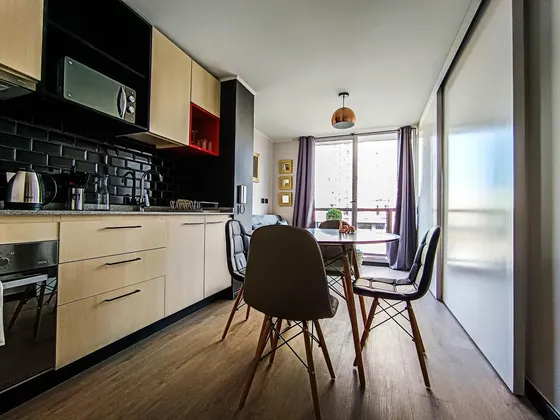 Arriendo Depto Amoblado Santiago 1d1b