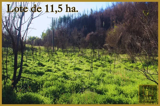 Se Venden 2 Terrenos , De 1,6 Ha. Y 11,56 Ha (76010)