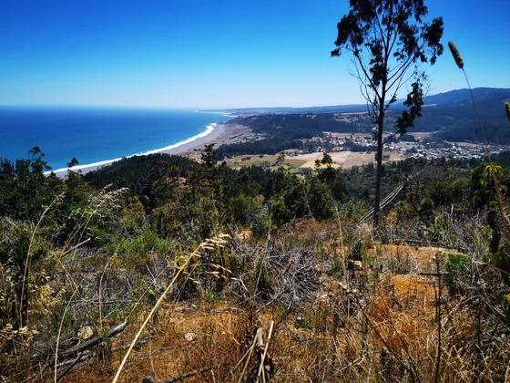 Sitio En Venta En Cobquecura