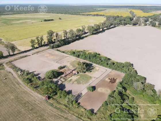 Campo En Venta De 31000 Has En Santa Fe. Ganaderas/agrícolas