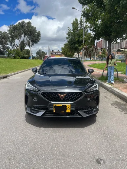 Cupra Formentor 2.0 Tsi Metalizado Dsg