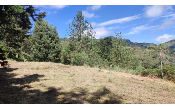 Lote, Terreno Para Venta Rionegro Antioquia Tablacito 