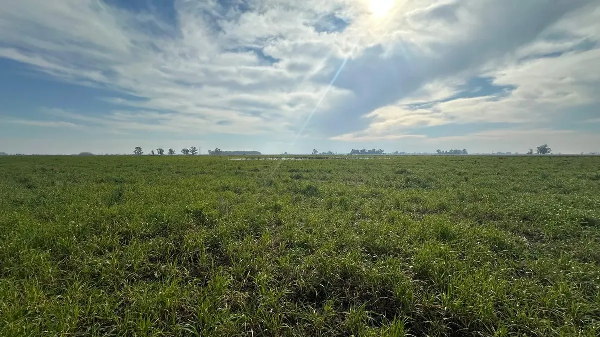 Livestock Farm – 861 Hectares in Gorchs, General Belgrano Partido, Buenos Aires Province.