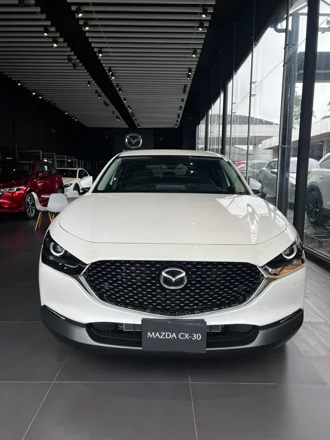 Mazda Cx-30 2.0 Touring At