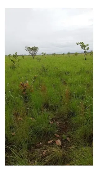 Finca En Venta, Vichada