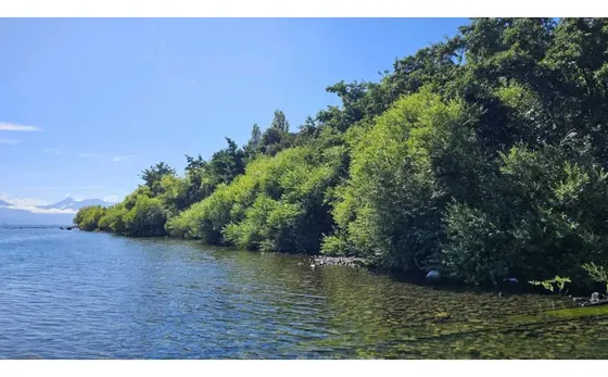Exclusivo Terreno Orilla De Lago Villarrica Pucón