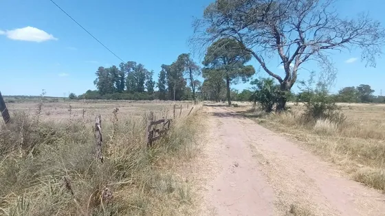 Venta Campo De 88 Hectareas En Carlos Spegazzini - Ezeiza - Ideal Desarrollo