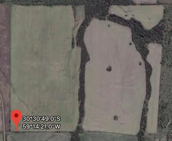 Venta Campo De 120 Has Agrícolas La Paz Entre Rios