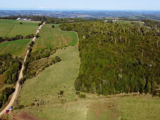 Campo Ideal Para Moverse Entre Estaquilla Y Los Muermos