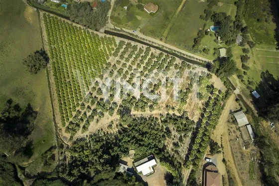 Parcela En Venta En Melipilla