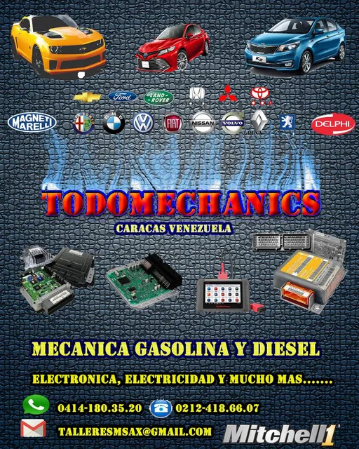 Servicios Integrales Electrónica Automotriz A Domicilio
