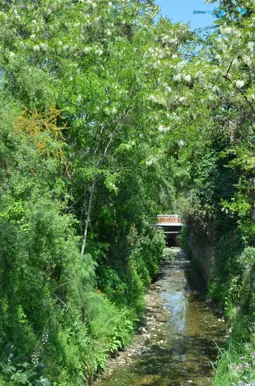Sitio En Venta En Olmué
