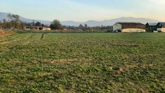 Venta Parcela Centro De Olmué