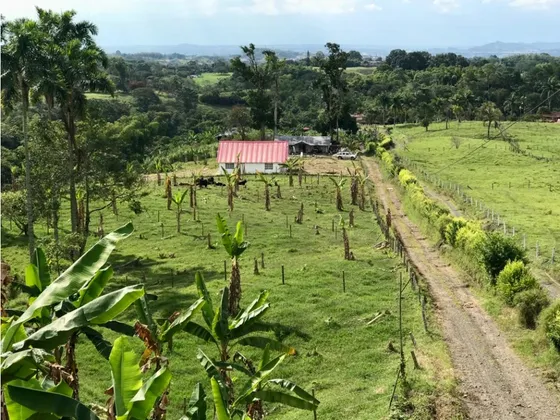 Venta Lote Vereda El Nuevo Via Armenia