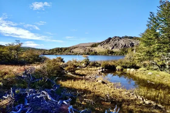 Otros En Venta En Coihaique