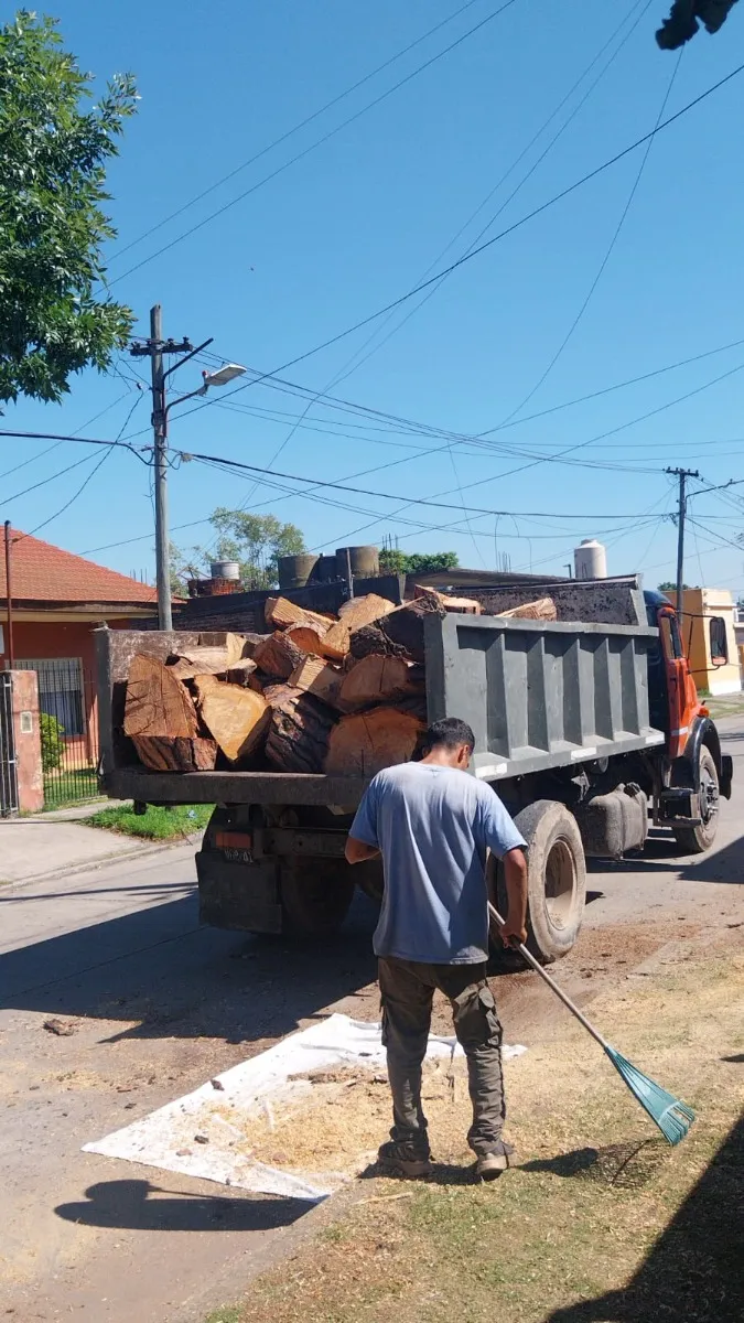 Podas De Árboles Mi Trabajo Verde 540962476052992002
