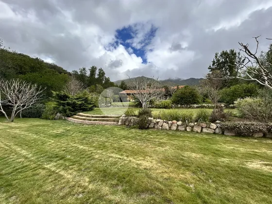 22538 - Estupendo Campo /el Pangue/curacavi