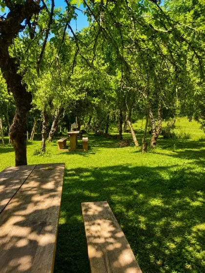 Se Vende Cesión De Derechos | 1 Hectárea | Valdivia