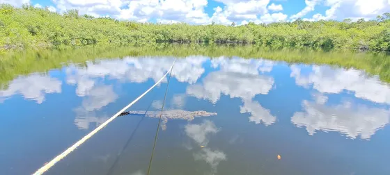 Terreno En Venta En Tulum Akumal A Un Lado Del Tren Maya, Plusvalía Asegurada