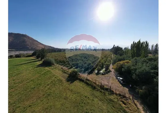 Se Venden 17 Hectáreas En Rancagua