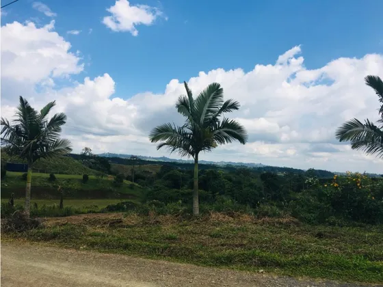 Venta De Lote Sector Via Condina Pereira 