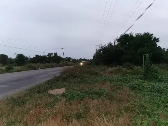 Terreno Renta 1358m² Carr Tuxpan Tamiahua En Tuxpan Veracruz