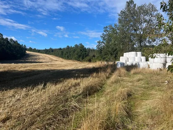 Agrícola En Venta En La Unión