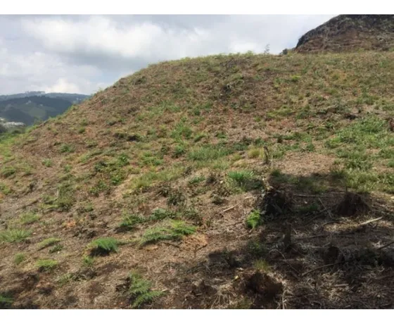 Lote En Venta Sector Perico Envigado