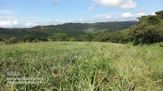 Vendo Finca En Restrepo Valle