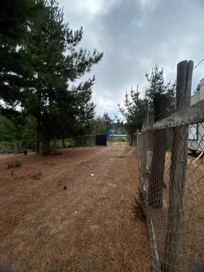 En Venta Parcela De 10.000 Mt2, Laguna Verde, Valparaíso