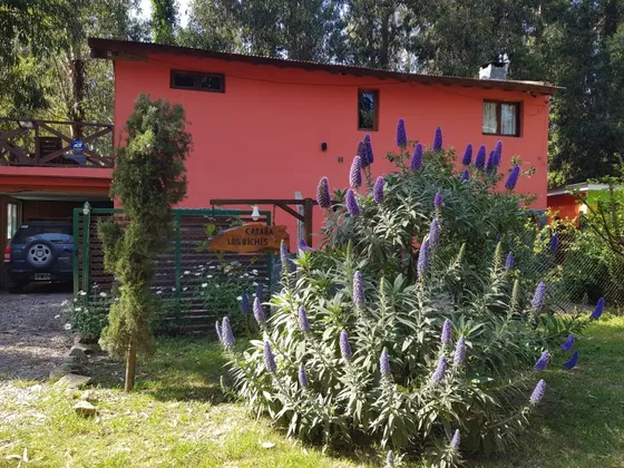 Cabaña Los Bichis