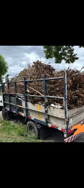 Camion Y Camioneta Retiro De Escombros Limpieza De Terrenos 