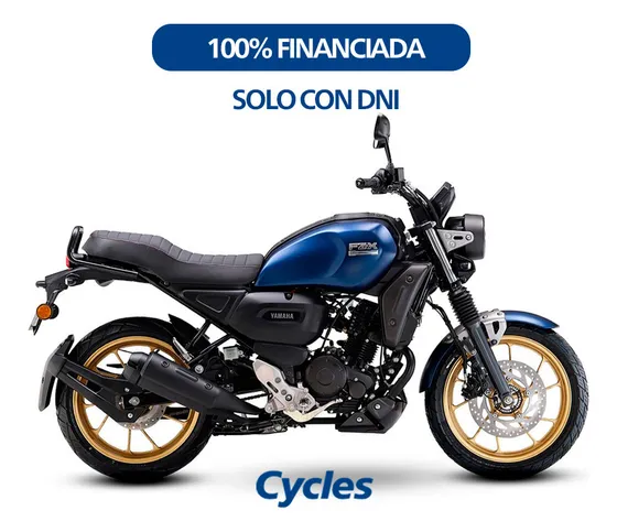 Yamaha Fz-x 0km - 100% Financiada -  Solo Con Dni - Cycles