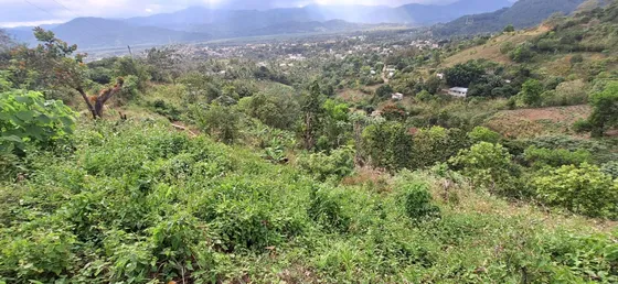 Vendo Vendo 120 Tarea De Tierra En Loma Buena En Hato Viejo De Yamasá, Rep.dom