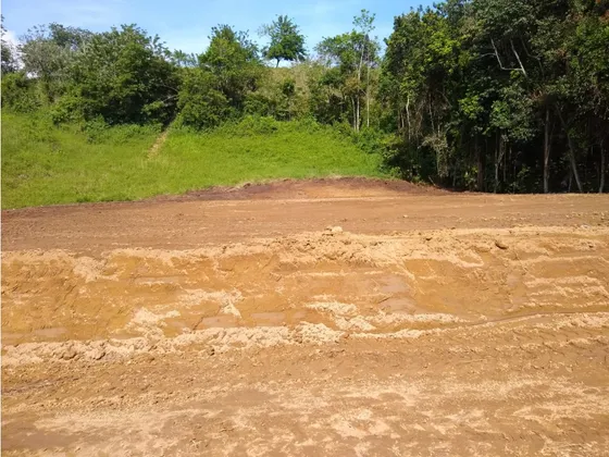 Venta Lote Santagueda, Palestina | Lotes En Venta