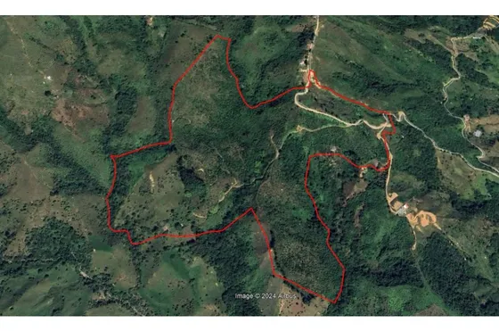 Vendo Finca De 42,2 Hectáreas Sector La Bonita En Gómez Plata