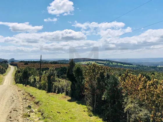 Sitio En Venta En Fresia