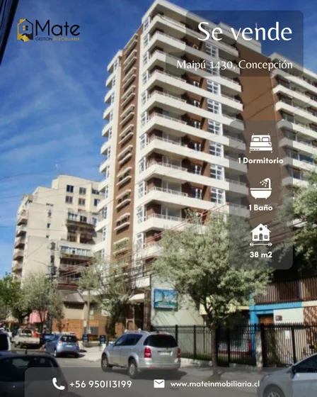 Se Vende Departamento En El Centro De Concepción 