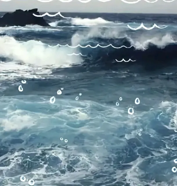 Aulas De Surf De Praia