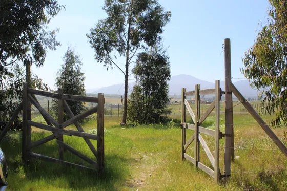 Lindo Terreno En Loma Suave En Sector Sta Luisa, Mantagua