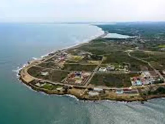 Lotes Punta Roca