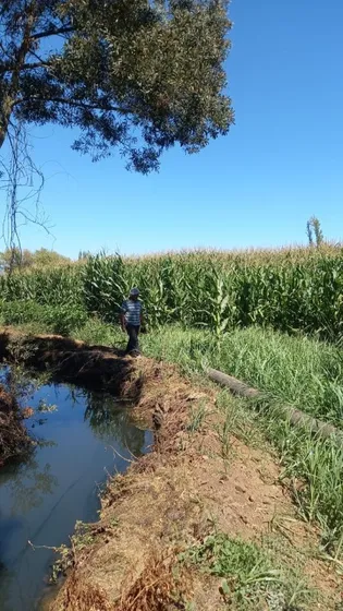 Campo En Venta, Yerbas Buenas, Region Del Maule