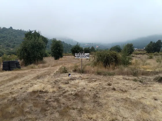 Se Vende Parcela 5000 Mtrs . En Río Claro