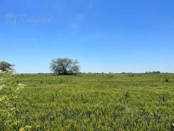 Campo 20 Hectareas En Venta Sobre Ruta 6 - Marcos Paz **vendido**