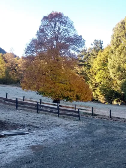 Terreno Curarrehue